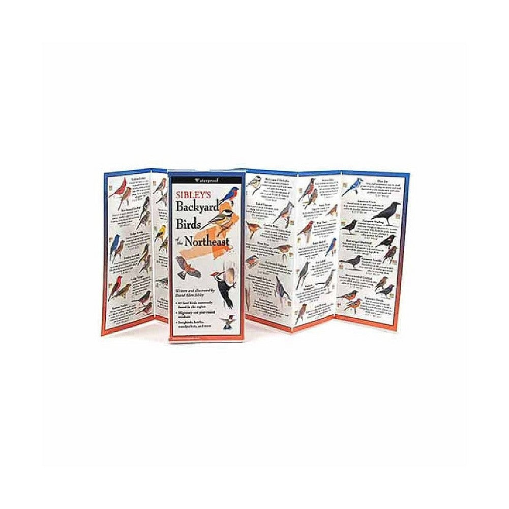 Sibley's Backyard Birds of the Northeast Folding Guide
