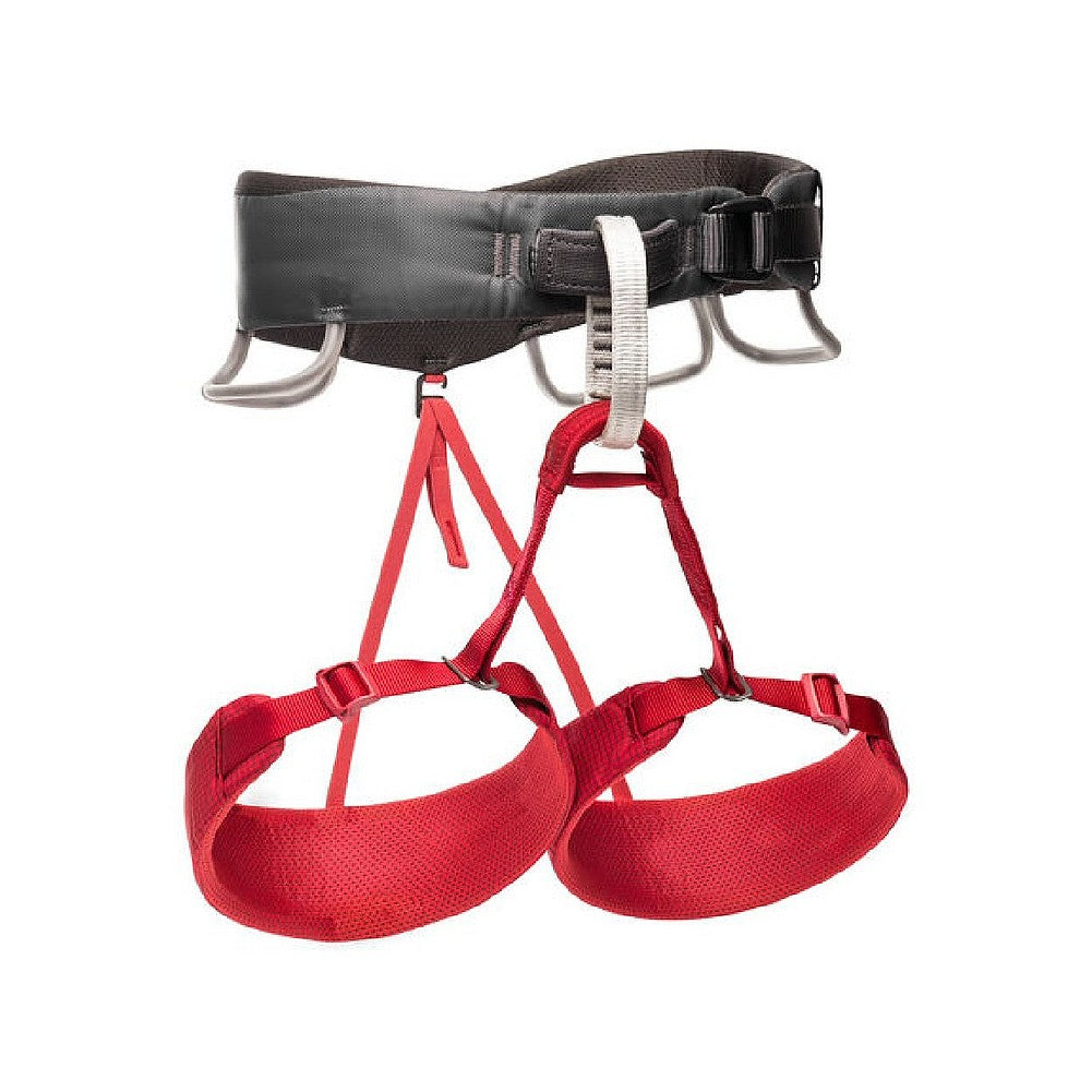 Women's Momentum Climbing Harness