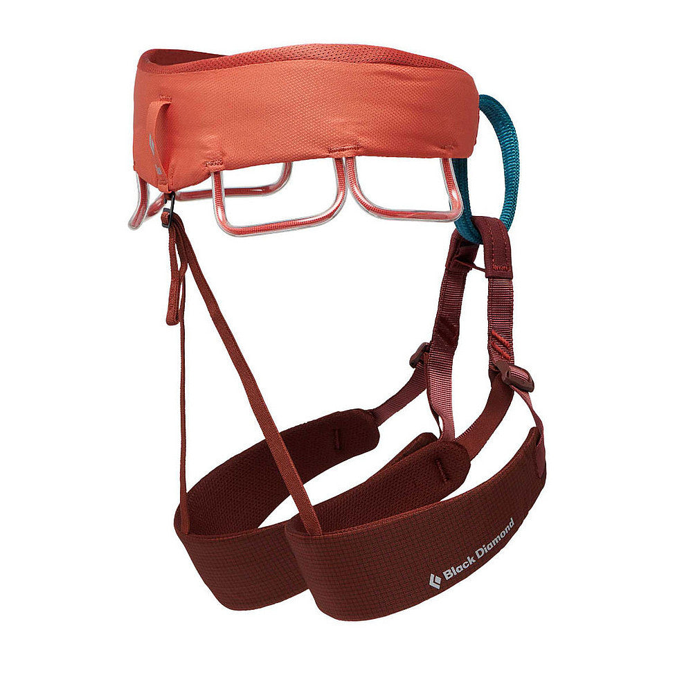 Momentum Harness Ws